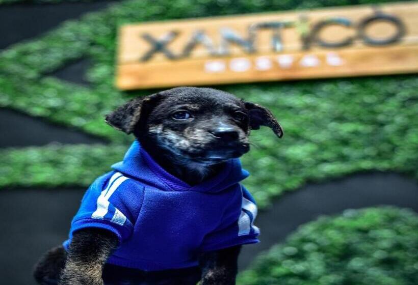 膳宿费 Xanticohostal