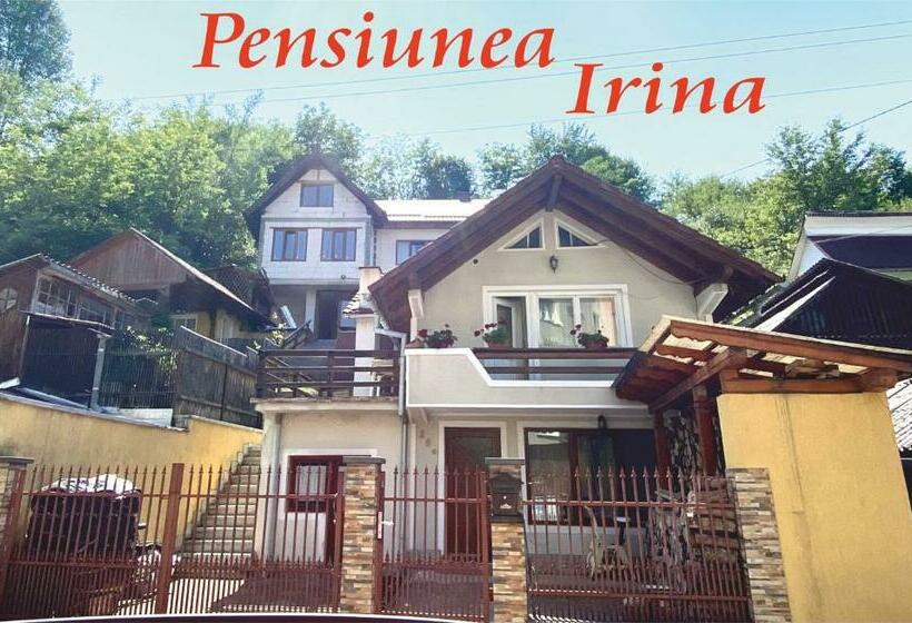 Pensiunea Irina