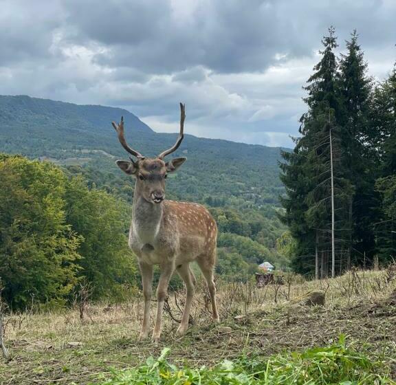 Pensiunea Pă Coastă