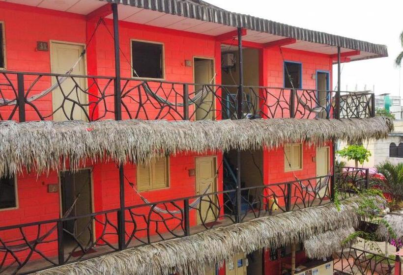 هاستل Arrecife Montañita Hostal