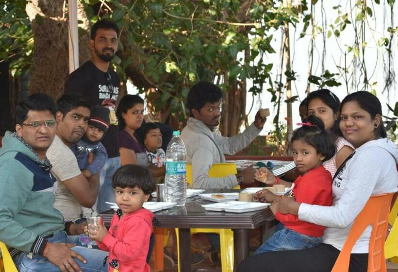 הוסטל Pinacle Inn