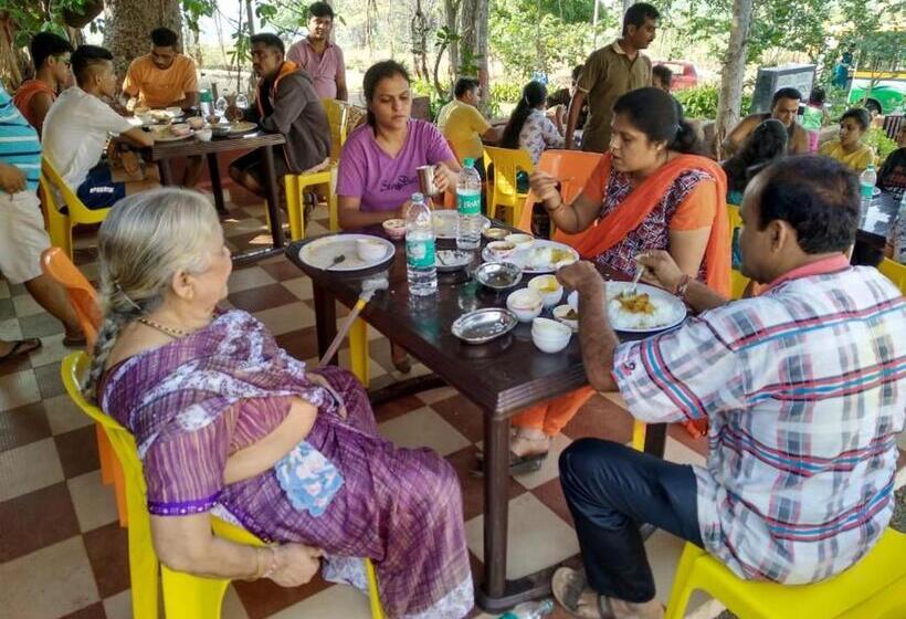 הוסטל Pinacle Inn