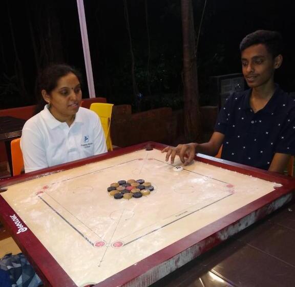 הוסטל Pinacle Inn