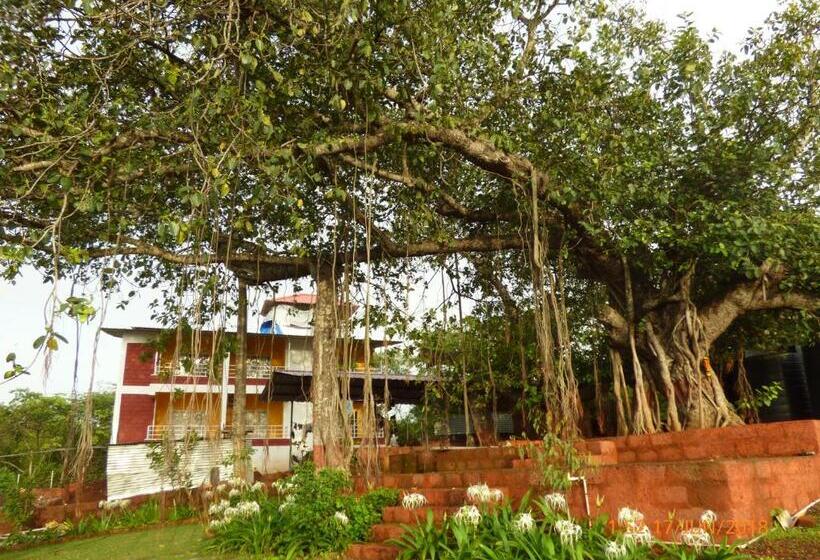 הוסטל Pinacle Inn