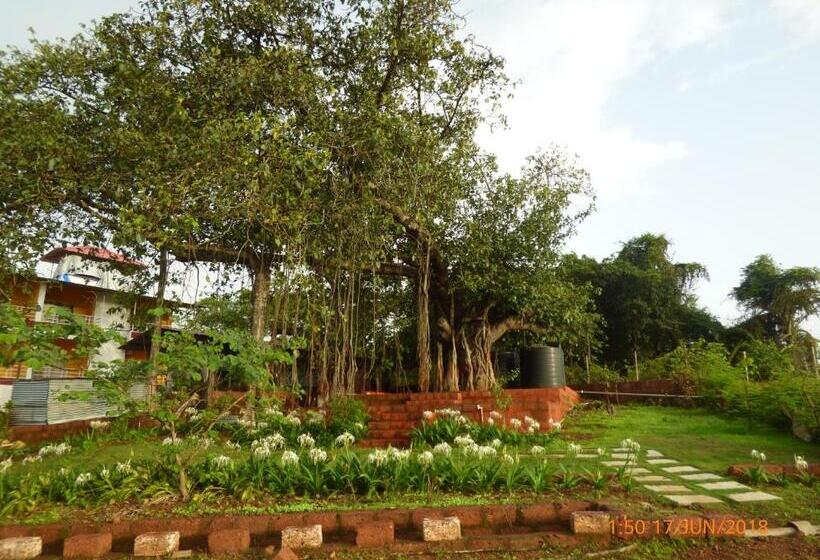 הוסטל Pinacle Inn