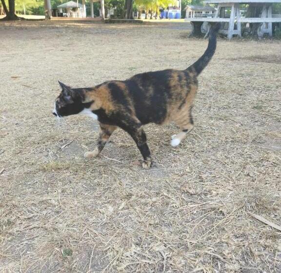 Andaman Peace Resort