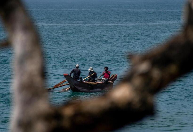 Backpack Beach Hostel & Reggae Bar