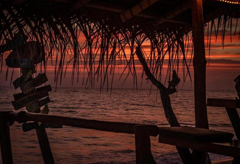 Backpack Beach Hostel & Reggae Bar