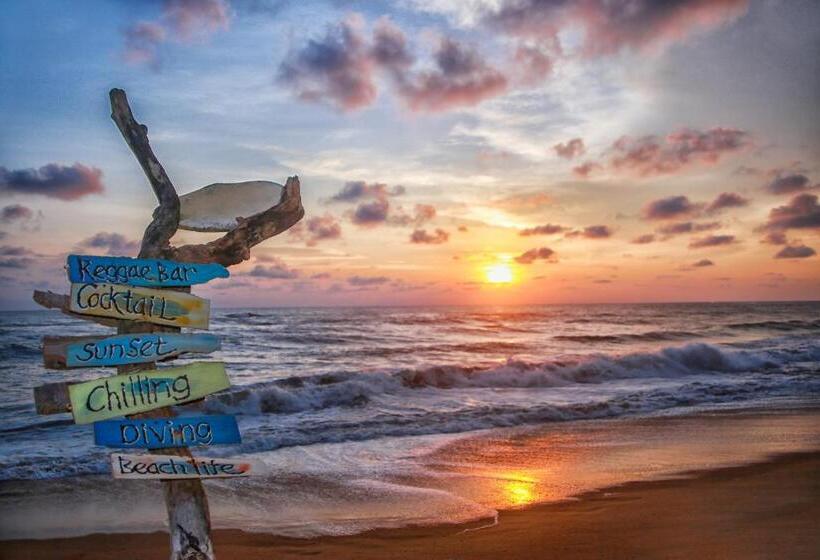 Backpack Beach Hostel & Reggae Bar