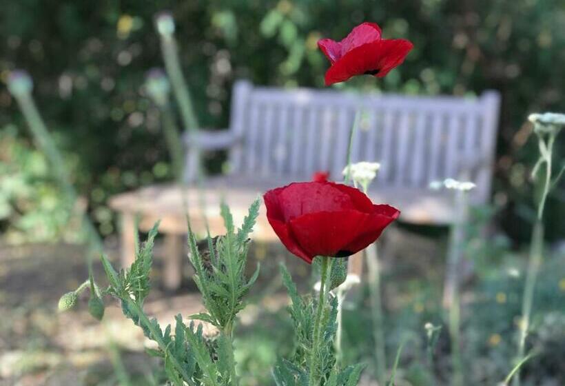 민박 Finca Santana