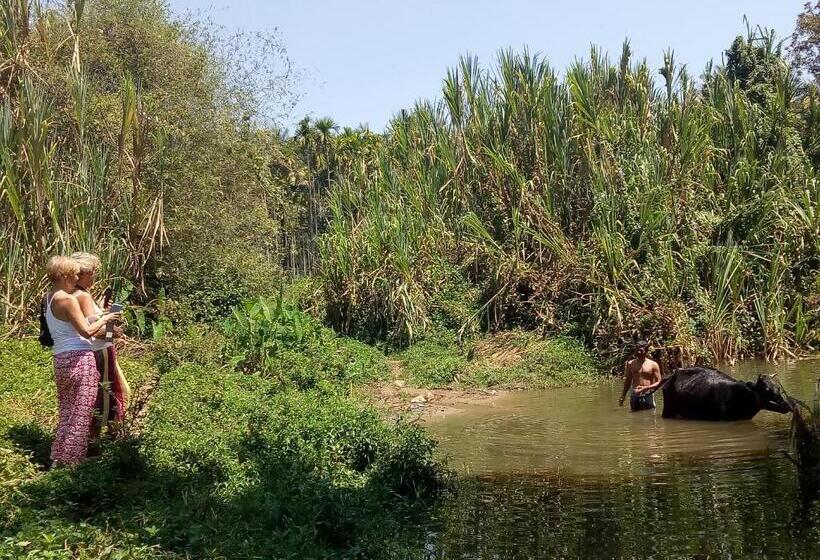 민박 The Suvistara Wayanad Kerala