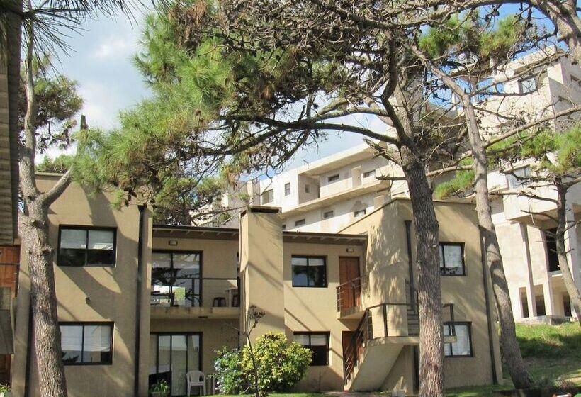 Complejo Azul Marino