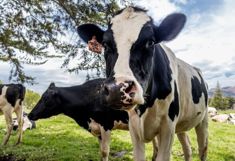 Ensenada Hotel Y Campo Asociado Casa Andina