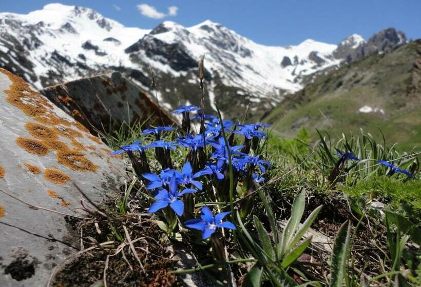 호텔 Albergo La Pace