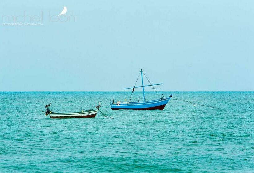 Отель Amotape Home