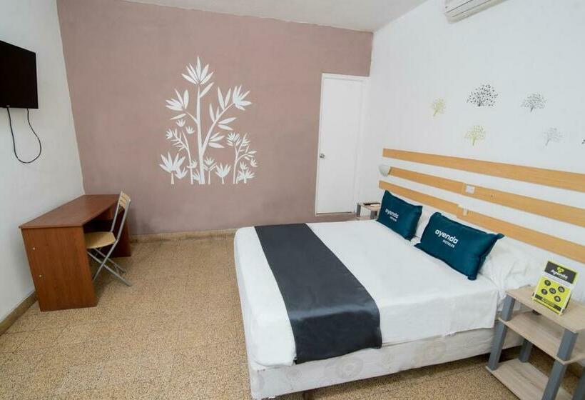 فندق Bamboo Boutique