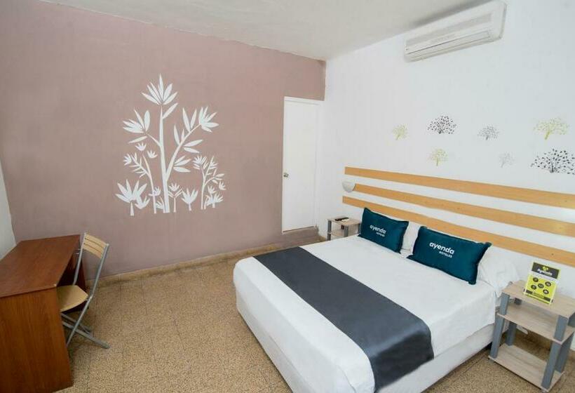 فندق Bamboo Boutique