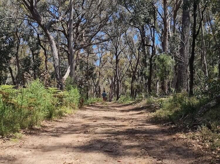 בית מלון כפרי Canyonleigh Retreat