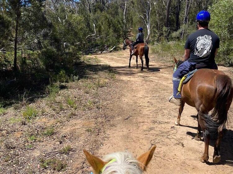 בית מלון כפרי Canyonleigh Retreat