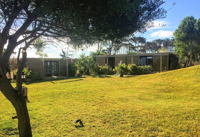 Отель Casa Bikini