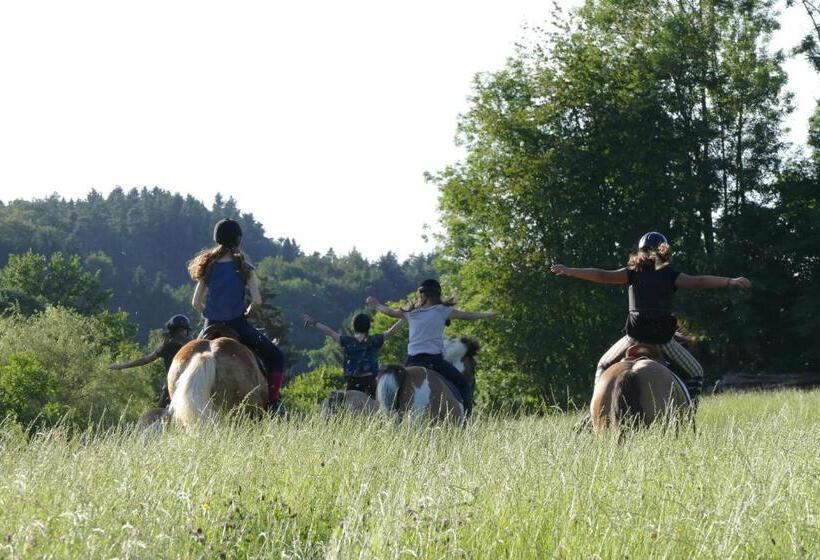 Отель Ferienhof Mühlthal