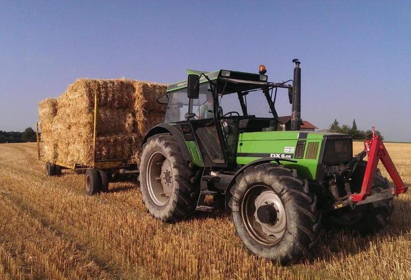 Отель Ferienhof Mühlthal