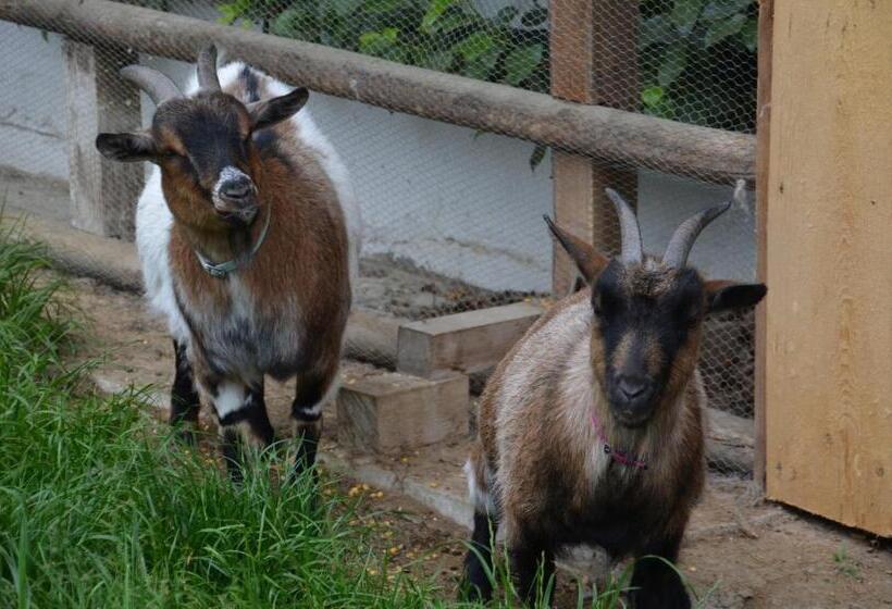 Отель Ferienhof Mühlthal