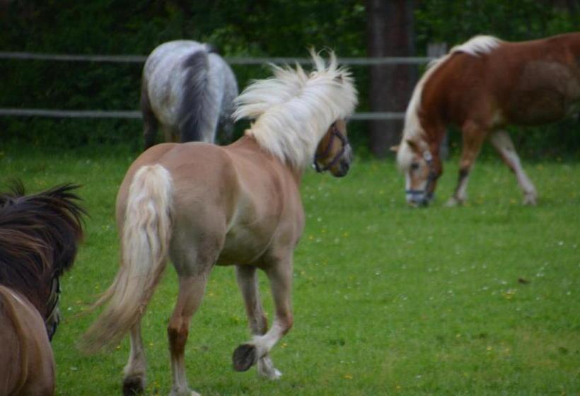 Отель Ferienhof Mühlthal