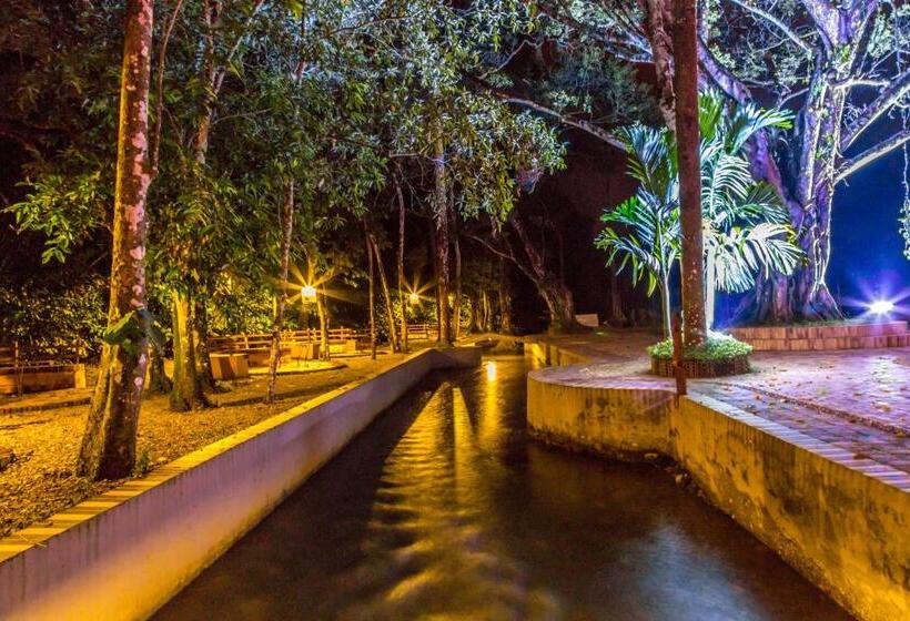 בית מלון כפרי Hacienda Gualanday