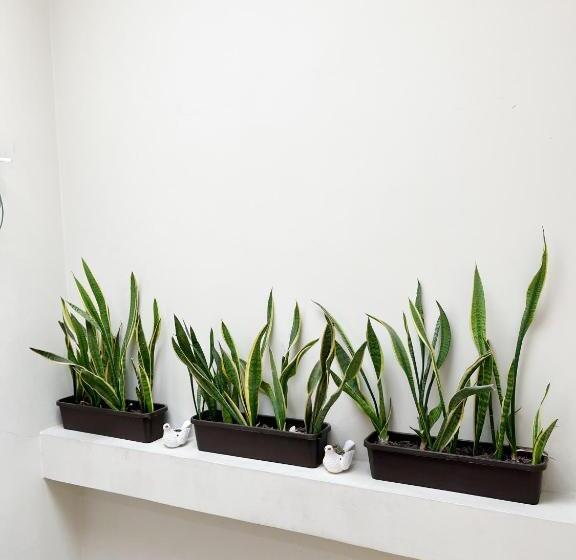 호텔 Luz De Aurora