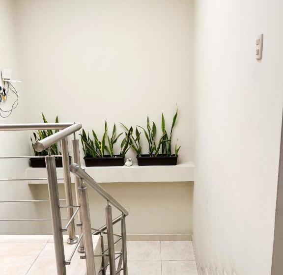 호텔 Luz De Aurora