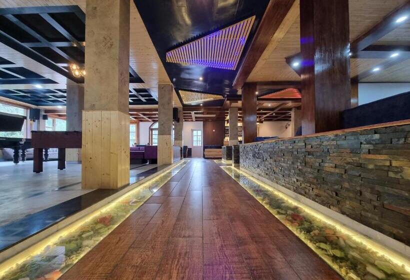 هتل Satyadev Grand