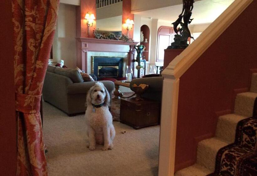 Mermaid S Muse Bed And Breakfast