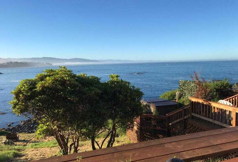 Mermaid S Muse Bed And Breakfast