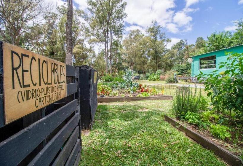 Mundaka Hostel Y Bar