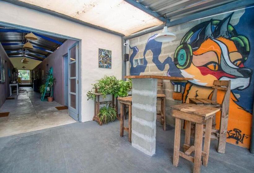 Mundaka Hostel Y Bar