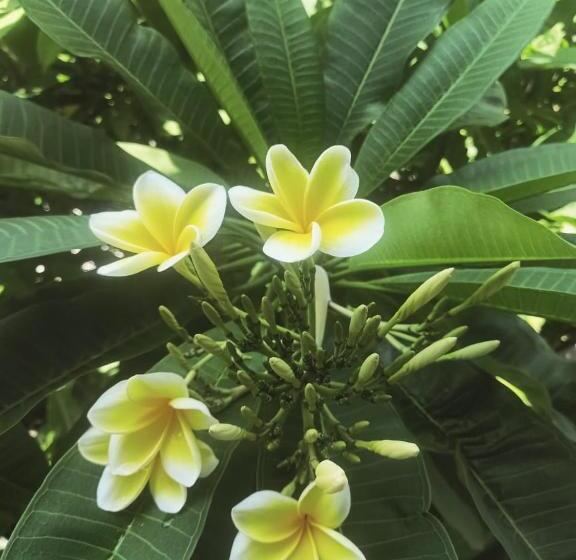 פנסיון Fishermen S Guesthouse