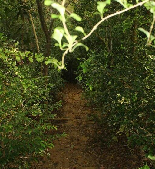 膳宿费 Hikkaduwa Rest