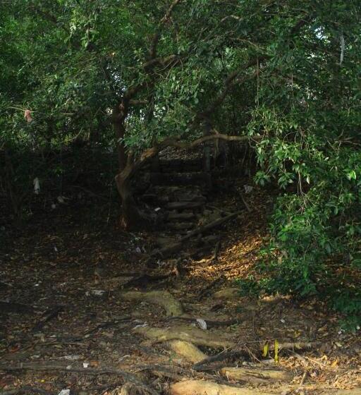 膳宿费 Hikkaduwa Rest