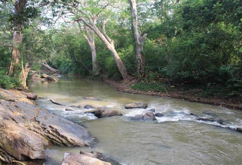 膳宿费 Hikkaduwa Rest