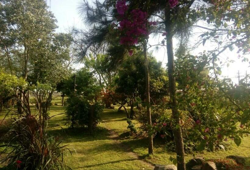 بنسيون Hostal El Puesto