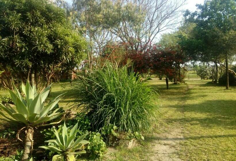 بنسيون Hostal El Puesto