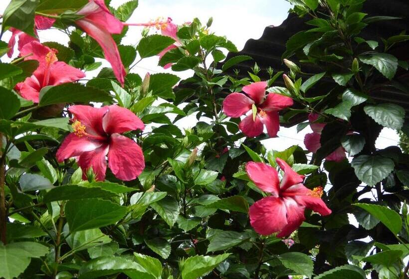 פנסיון Hostal La Cascada