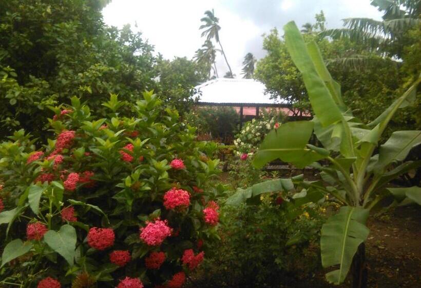 פנסיון Hostal La Cascada