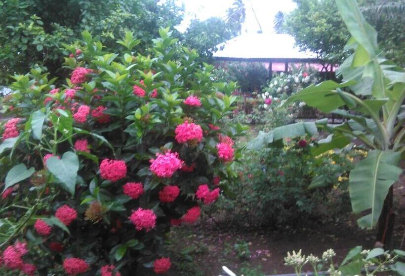 פנסיון Hostal La Cascada