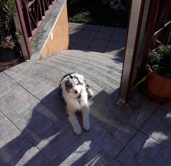 Пансион Kenézy Lux Apartman Vendégház