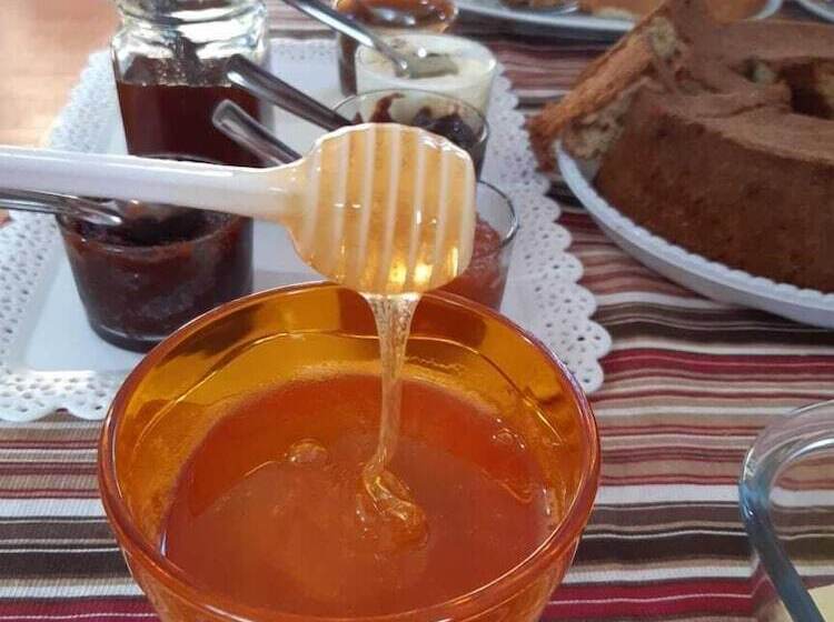 膳宿费 Raízes Da Serra Pousada