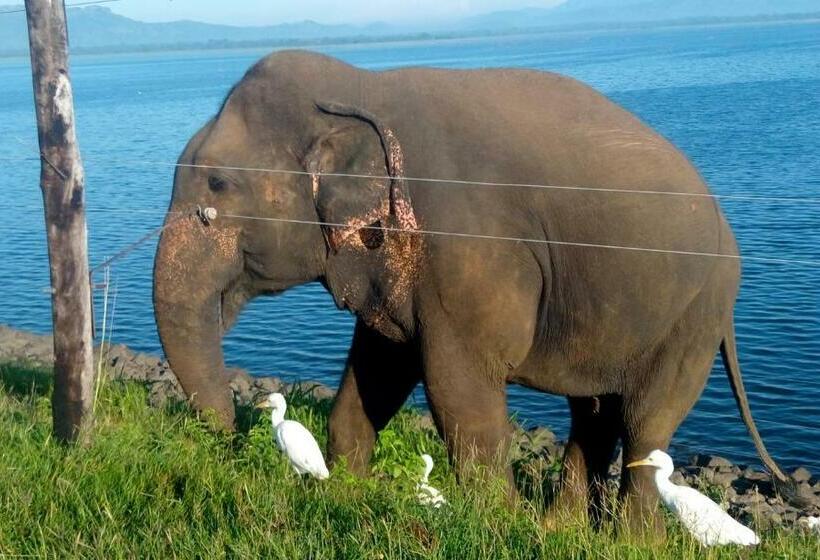 Пансион Summerland Residence