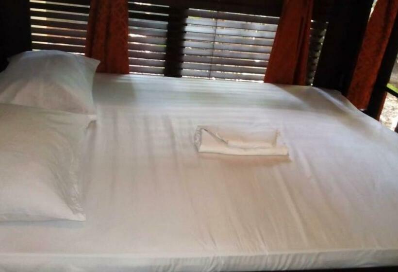 ユースホステル Cabinas Surf Arribadas