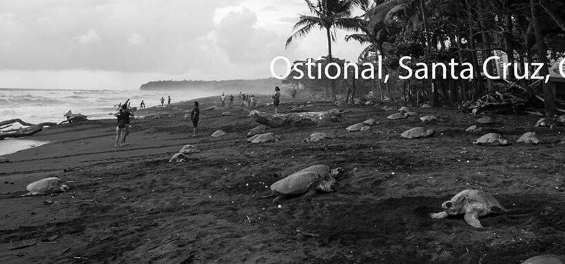 ユースホステル Cabinas Surf Arribadas